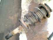 Federbein Links Vorne Ford Focus 1 Schrägheck 1.6 16V (FYDA) 2004-04