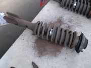 Federbein Links Vorne Suzuki Alto (SH410) Schrägheck 1.0 GA,GL (G10B) 2000