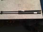 Gasdruckfedern Set Hinten BMW X1 (E84) SUV sDrive 16d 2.0 16V (N47-D20C) 2013