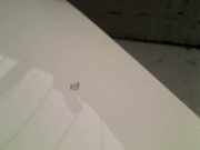 Motorhaube Kia Picanto (TA) Schrägheck 1.0 12V (G3LA) 2016