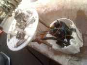 Kraftstoffpumpe Elektrisch 13577238 Opel Astra J Sports Tourer (PD8/PE8/PF8) Kombi 1.6 Turbo 16V (A16LET(Euro 5)) 2011