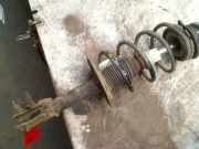 Federbein Rechts Vorne Fiat Panda (169) Schr?gheck 1.2, Classic (169.A.4000(Euro 5)) 2011