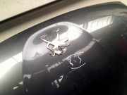 Motorhaube Peugeot 107 Schr?gheck 1.0 12V (384F(1KR)) 2013