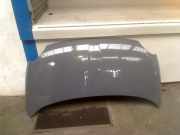 Motorhaube Fiat 500C (312) Cabrio 1.2 69 (169.A.4000(Euro 5)) 2010
