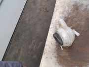 Kühlmittelbehälter 1S0121407E Skoda Citigo Schrägheck 1.0 12V (CHYA) 2012