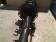 Federbein Vorne Volkswagen Transporter/Caravelle T5 Bus 2.0 TDI DRF (CAAA(Euro 5)) 2013 CAAA(Euro 5)