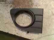 Stoßstangengitter 735500136 Fiat Punto Evo (199) Schrägheck 1.2 Euro 4 (199.A.4000) 2011