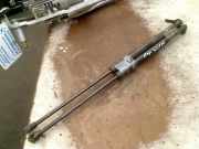 Gasdruckfeder Set Vorne Toyota Mirai (JPD2) Limousine FCV (3KM) 2021