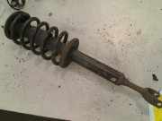 Federbein Vorne Volkswagen Passat Variant (3B6) Kombi 1.8 Turbo 20V (AWT(Euro 4)) 2001 AWT(Euro 4)