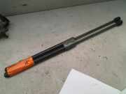 Gasdruckfedern Set Hinten Volkswagen Polo V (6R) Schrägheck 1.2 TDI 12V BlueMotion (CFWA(Euro 5)) 2011 CFWA(Euro 5)