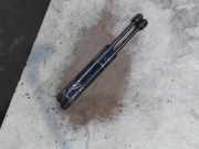 Gasdruckfedern Set Hinten 30779837 Volvo S80 (AR/AS) Limousine 1.6 T4 (B4164T) 2012