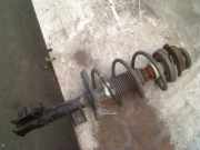 Federbein Links Vorne Ford Ka II Schrägheck 1.2 (169.A.4000(Euro 4; Euro 5)) 2009