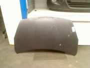 Motorhaube Hyundai i20 Schrägheck 1.2i 16V (G4LA) 2010