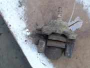 Bremssattel Links Hinten Mercedes-Benz CLK (C209) Coupé 2.7 270 CDI 20V (OM612.962) 2003