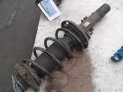 Federbein Vorne Seat Ibiza III (6L1) Schr?gheck 1.4 16V 100 (BBZ) 2006