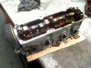 Zylinderkopf 552084761 Ford Ka II Schrägheck 1.2 (169.A.4000(Euro 4; Euro 5)) 2011