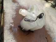 Kühlmittelbehälter 6G918K218D2L4A Volvo V70 (BW) Kombi 2.0 T 16V (B4204T6) 2011