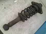 Federbein Hinten Volkswagen Passat Variant (3B6) Kombi 1.9 TDI 130 (AVF(Euro 3)) 2002