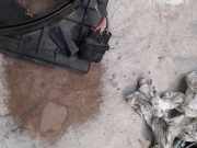 Kühlerventilatormotor Volkswagen Polo V (6R) Schrägheck 1.2 TDI 12V BlueMotion (CFWA(Euro 5)) 2010 CFWA(Euro 5)