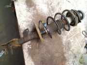 Federbein Links Vorne Fiat Panda (169) Schrägheck 1.2, Classic (169.A.4000(Euro 5)) 2011