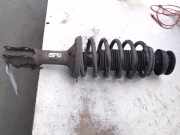 Federbein Vorne 6K0413031G Seat Inca (6K9) Van 1.9 SDI (AYQ) 2003