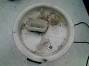 Kraftstoffpumpe Elektrisch Volkswagen Polo V (6R) Schrägheck 1.2 12V (CGPB) 2010 CGPB