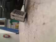 Airbag Schleifring 255541F500 Nissan Micra (K11) Schrägheck 1.0 16V (CG10DE) 2001