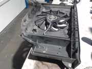 Kühlerventilatormotor Peugeot 206 CC (2D) Cabrio 1.6 16V (TU5JP4(NFU)) 2003