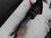 Federbein Rechts Vorne Volkswagen Passat Variant (3B6) Kombi 1.9 TDI 100 (AVB) 2002 AVB