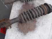 Federbein Rechts Vorne Suzuki Alto (SH410) Schrägheck 1.0 GA,GL (G10B) 2000