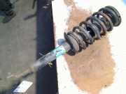 Federbein Vorne Audi A8 (D2) Limousine 4.2 V8 40V Quattro (AQF) 2000