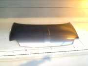 Motorhaube Fiat 500 (312) Schrägheck 1.2 (169.A.4000(Euro 5)) 2010