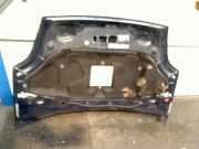 Motorhaube Fiat Grande Punto (199) Schrägheck 1.3 JTD Multijet 16V VGT (199.B.4000) 2010