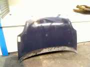 Motorhaube Fiat Grande Punto (199) Schrägheck 1.3 JTD Multijet 16V VGT (199.B.4000) 2010