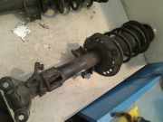 Federbein Vorne A2123201238 Mercedes-Benz E (W212) Limousine E-350 CDI BlueEfficiency 3.0 V6 24V (Euro 6)) 2012