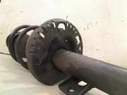 Federbein Vorne 1S0413031 Volkswagen Up! (121) Schrägheck 1.0 12V 60 (CHYA) 2012 CHYA