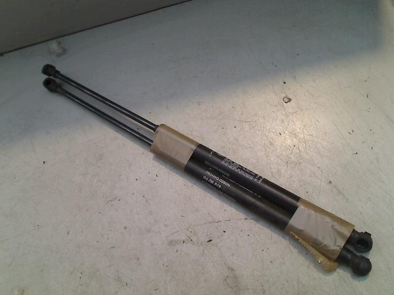 Gasdruckfedern Set Hinten Fiat Grande Punto (199) Schrägheck 1.4 (350.A.1000) 2006 Bild Gasdruckfedern Set Hinten Fiat Grande Punto (199) Schrägheck 1.4 (350.A.1000) 2006