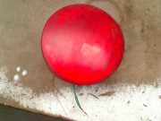 Rücklicht Links Innen Lexus IS (E1) Limousine 200 2.0 24V (1G-FE) 2003