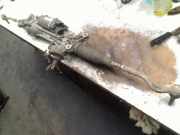 Lenkgetriebe Servolenkung 8W0423055AG Audi A4 Avant (B9) Kombi 2.0 40 TFSI Mild Hybrid 16V (DLVA) 2020