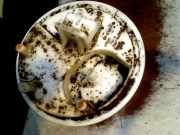 Kraftstoffpumpe Elektrisch 46838198 Lancia Ypsilon (843) Schr?gheck 1.2 16V (188.A.5000) 2006