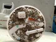 Kraftstoffpumpe Elektrisch KS10196287511510084M00 Suzuki Celerio (LF) Schrägheck 5-drs 1.0 12V (K10C) 2018