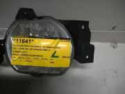 Nebelscheinwerfer Links Vorne Kia Rio (DC22/24) Schrägheck 1.5 16V (A5D) 2004
