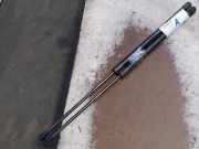 Gasdruckfedern Set Hinten 5H6827550H Volkswagen Golf VIII (CD1) Schrägheck 1.0 TSI 12V (DLAA) 2022 DLAA