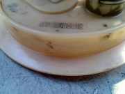 Kraftstoffpumpe Elektrisch 1K0919050J Volkswagen Golf VI (5K1) Schrägheck 2.0 TDI 16V (CBDC) 2010 CBDC