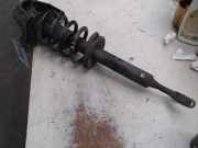 Federbein Links Vorne Volkswagen Passat Variant (3B6) Kombi 1.9 TDI 100 (AVB) 2002 AVB