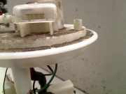 Kraftstoffpumpe Elektrisch 51709816 Fiat Punto II (188) Schr?gheck 1.2 60 S (188.A.4000) 2004