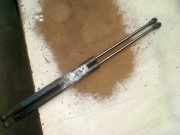 Gasdruckfedern Set Hinten 46827091 Fiat Panda (169) Schrägheck 1.2 Fire (188.A.4000) 2008