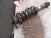 Federbein Links Hinten 22190547 Mini Mini One/Cooper (R50) Schrägheck 1.6 16V One (W10-B16A) 2002-02