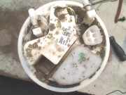 Kraftstoffpumpe Elektrisch 770200H010 Peugeot 107 Schr?gheck 1.0 12V (384F(1KR)) 2008