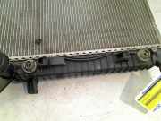 Radiator Audi S4 Avant (B8) Kombi S4 3.0 TFSI V6 24V (CGWC) 2012